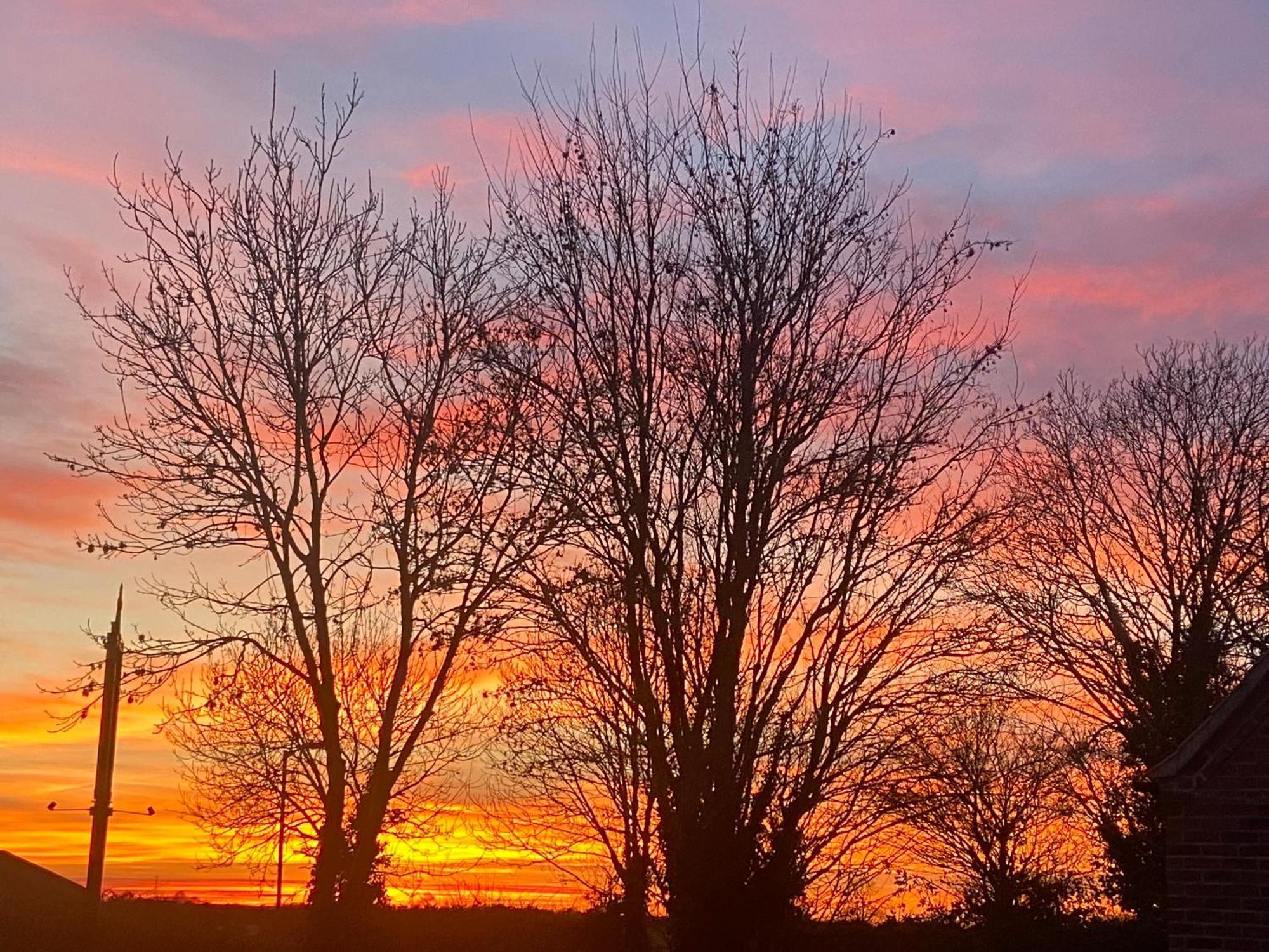 Willow Tree Cottages Newark-on-Trent  Luaran gambar